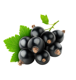 Смородина чорна 1000g - Україна Ягоди та фрукти