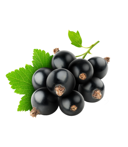 Смородина чорна 1000g - Україна Ягоди та фрукти